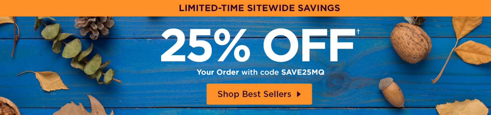 Shop Best Sellers